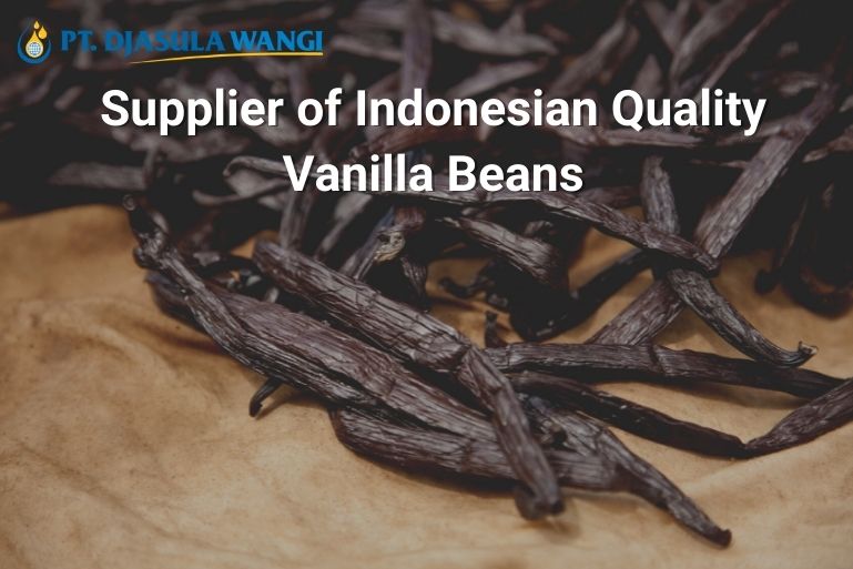 Supplier of Indonesian Quality Vanilla Beans