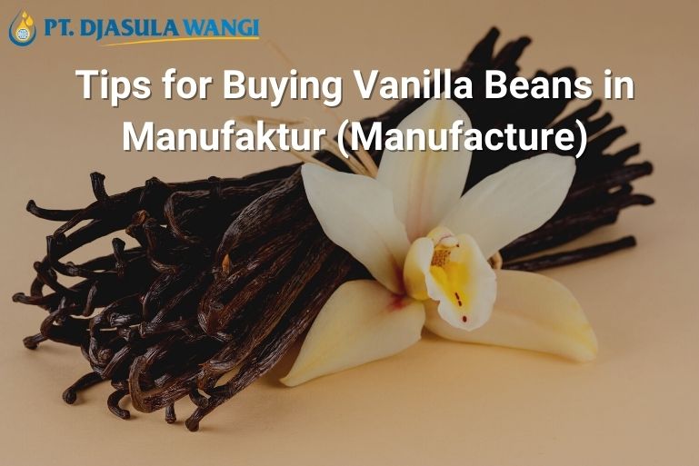 Tips for Buying Vanilla Beans in Manufaktur (Manufacture)