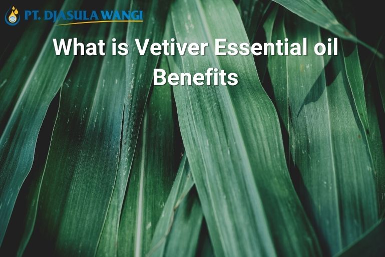 What is Vetiver Essential oil Benefits