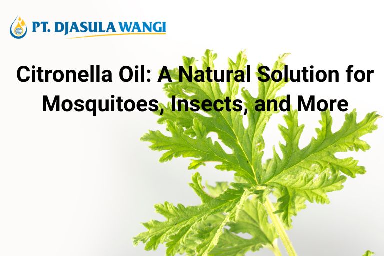 Citronella Oil: A Natural Solution for Mosquitos, Insects, and More